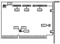 NCL AMERICA   NCL 5426