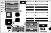 YOUNG MICRO SYSTEMS, INC.   VEGA 486 33/50S