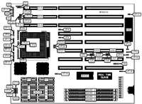 YOUNG MICRO SYSTEMS, INC.   VEGA 486 GREEN PC